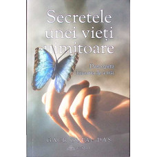 SECRETELE UNEI VIETI UIMITOARE SECRETELE UNEI VIETI UIMITOARE