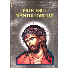 PROCESUL MANTUITORULUI PROCESUL MANTUITORULUI