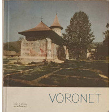 VORONET