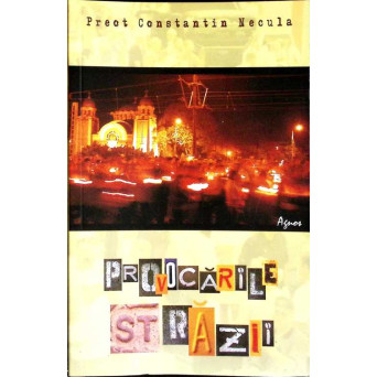 PROVOCARILE STRAZII