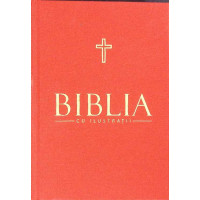 BIBLIA CU ILUSTRATII VOL.2 BIBLIA CU ILUSTRATII VOL.2