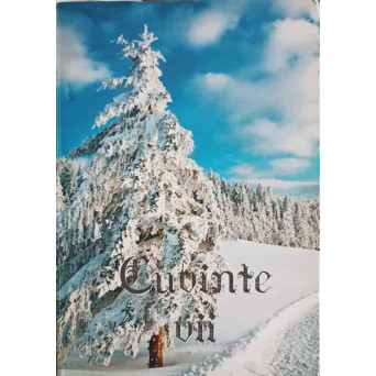 CUVINTE VII