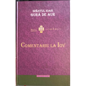 COMENTARIU LA IOV