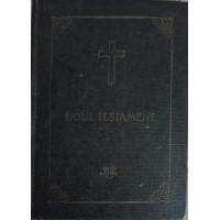 NOUL TESTAMENT CU PSALMII