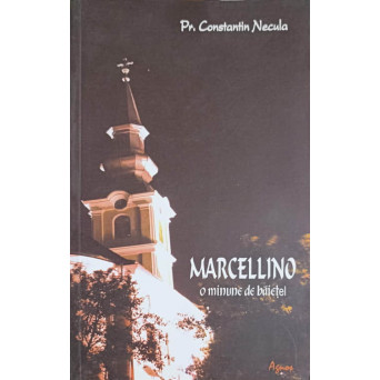 MARCELLINO O MINUNE DE BAIETEL