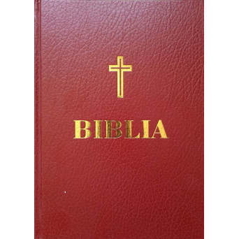 BIBLIA ORTODOXA FORMAT A4