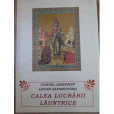 CALEA LUCRARII LAUNTRICE