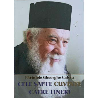 CELE SAPTE CUVINTE CATRE TINERI