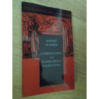 COMENTARIU LA EVANGHELIA DUPA IOAN COMENTARIU LA EVANGHELIA DUPA IOAN