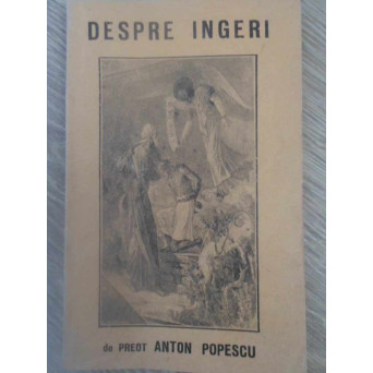 DESPRE INGERI