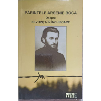 DESPRE NEVOINTA IN INCHISOARE