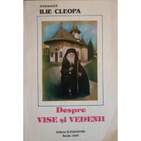 DESPRE VISE SI VEDENII DESPRE VISE SI VEDENII