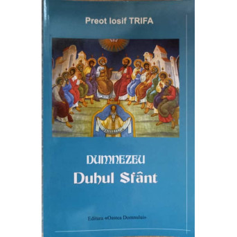 DUMNEZEU DUHUL SFANT