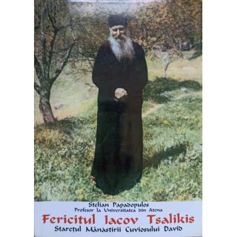 FERICITUL IACOV TSALIKIS. STARETUL MANASTIRII CUVIOSULUI DAVID
