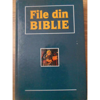 FILE DIN BIBLIE