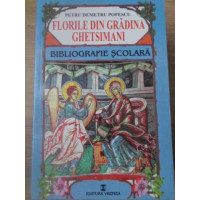 FLORILE DIN GRADINA GHETSIMANI