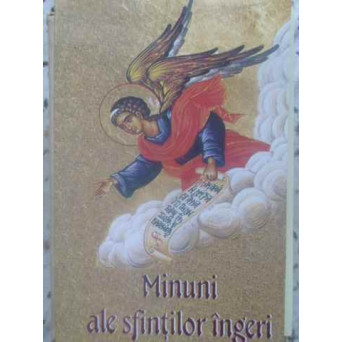 MINUNI ALE SFINTILOR INGERI