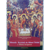 MINUNILE - REVELATII ALE SFINTEI TREIMI IN SFANTA SCRIPTURA MINUNILE - REVELATII ALE SFINTEI TREIMI IN SFANTA SCRIPTURA