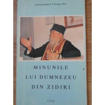 MINUNILE LUI DUMNEZEU DIN ZIDIRI