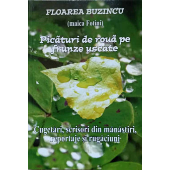 PICATURI DE ROUA PE FRUNZE USCATE VOL.6 NIHIL SINE DEO