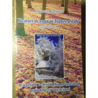 PICATURI DE ROUA PE FRUNZE USCATE VOL.VII CUGETARI, SCRISORI DIN MANASTIRI, REPORTAJE SI RUGACIUNI