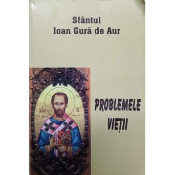 PROBLEMELE VIETII