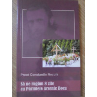 SA NE RUGAM 8 ZILE CU PARINTELE ARSENIE BOCA SA NE RUGAM 8 ZILE CU PARINTELE ARSENIE BOCA