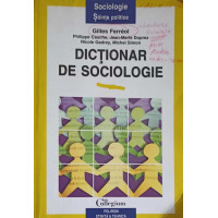 DICTIONAR DE SOCIOLOGIE DICTIONAR DE SOCIOLOGIE