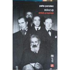 BRANCUSI, AMICII SI INAMICII. SOCIOLOGIA LUI BRANCUSI