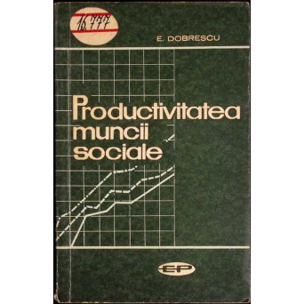PRODUCTIVITATEA MUNCII SOCIALE