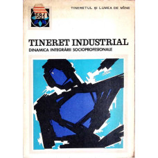 TINERET INDUSTRIAL. DINAMICA INTEGRARII SOCIOPROFESIONALE
