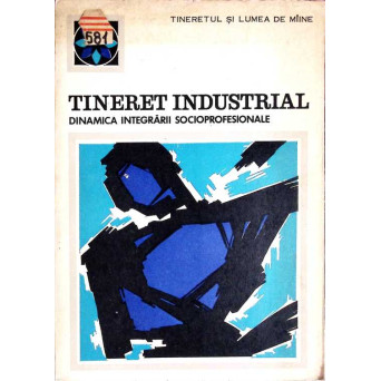 TINERET INDUSTRIAL. DINAMICA INTEGRARII SOCIOPROFESIONALE