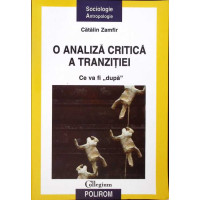 O ANALIZA CRITICA A TRANZITIEI CE VA FI "DUPA"
