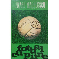 FOTBAL CU PAINE FOTBAL CU PAINE