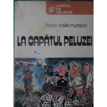 LA CAPATUL PELUZEI