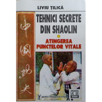 TEHNICI SECRETE DIN SHAOLIN. ATINGEREA PUNCTELOR VITALE