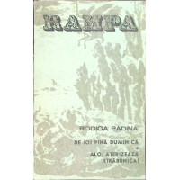 DE JOI PANA DUMINICA. ALO, ATERIZEAZA STRABUNICA!