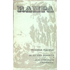 DE JOI PANA DUMINICA. ALO, ATERIZEAZA STRABUNICA!