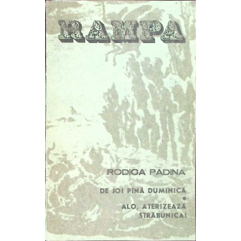 DE JOI PANA DUMINICA. ALO, ATERIZEAZA STRABUNICA!