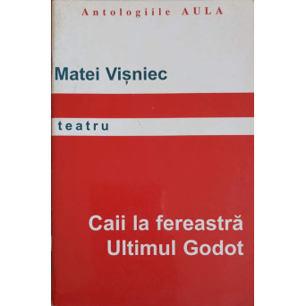 CAII LA FEREASTRA. ULTIMUL GODOT