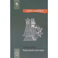 TOATE PISICILE SUNT NEGRE TOATE PISICILE SUNT NEGRE