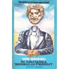 IN CAUTAREA SENSULUI PIERDUT