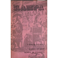SCOICA DE LEMN. ECHIPA DE ZGOMOTE SCOICA DE LEMN. ECHIPA DE ZGOMOTE