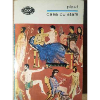 CASA CU STAFII