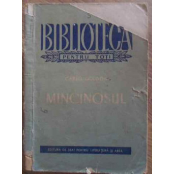 MINCINOSUL