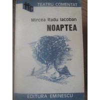 NOAPTEA NOAPTEA