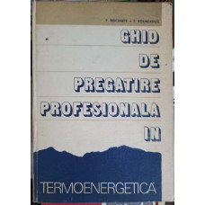 GHID DE PREGATIRE PROFESIONALA IN TERMOENERGETICA