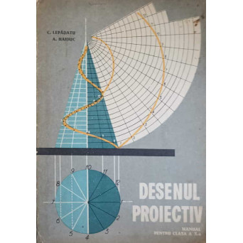 DESEN PROIECTIV. MANUAL PENTRU CLASA A X-A