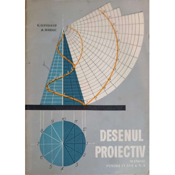 DESENUL PROIECTIV, MANUAL PENTRU CLASA A X-A