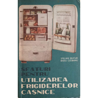 SFATURI PENTRU UTILIZAREA FRIGIDERELOR CASNICE